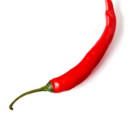 main-pepper
